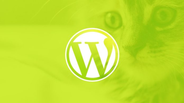 Using WordPress For Beginners