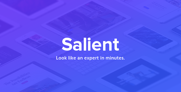 Salient Responsive Multi-Purpose Theme V14 Nulled